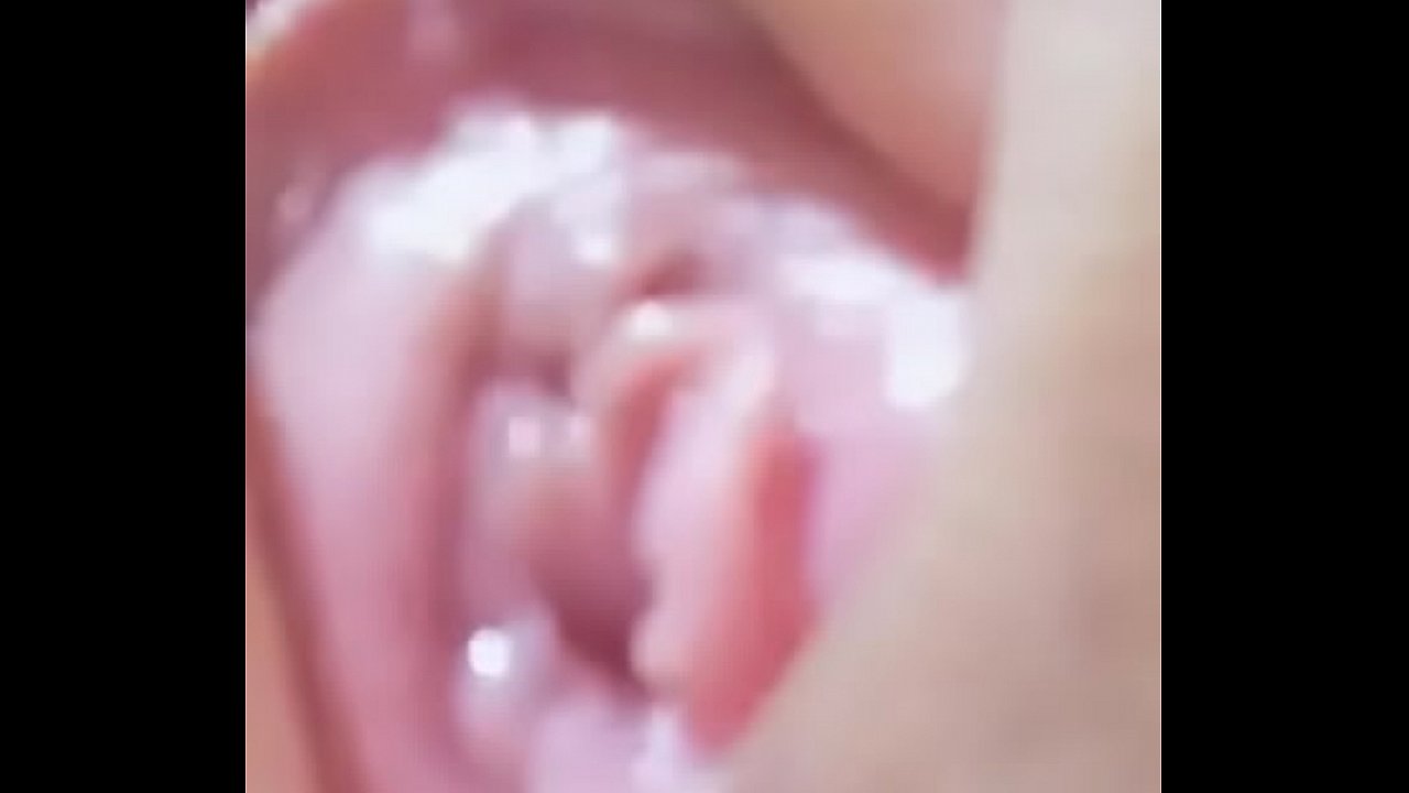 处女猫中国女孩