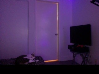 tsunamihottie , ? Free Adult Webcams, Live Sex, Free Sex Chat tsunamihottie chat , ? ?
