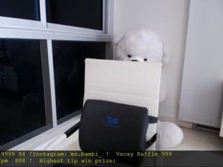 Sunny Free Adult Webcams, Live Sex, Free Sex Chat Instagram: ms.bambi_ l Drink+ Costume@ 100% = 40% l Cute 69 l Kiss 33 l Spank 111 l Snap2999 l Shot3k
