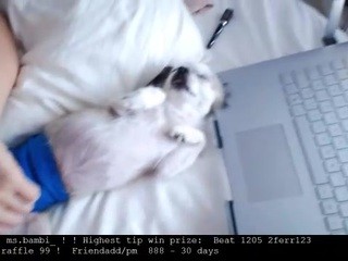 Sunny Free Adult Webcams, Live Sex, Free Sex Chat Lingerie @ 100% = 57% l Cute 69 l Kiss 33 l Spank 99 l l Snap2999 l Shot3k