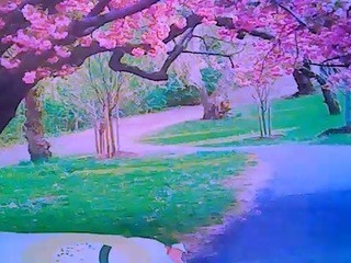 indianroxy Free Adult Webcams, Live Sex, Free Sex Chat