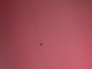 sexxycouples1619 Free Adult Webcams, Live Sex, Free Sex Chat