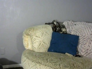 Qxueen Free Adult Webcams, Live Sex, Free Sex Chat