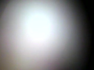12lovesense Free Adult Cams, Live Sex, Free Porn Chat