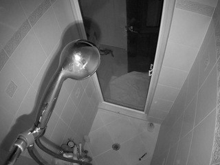 Voyeurcam-baileybase-shower Free Adult Cams, Live Sex, Free Porn Chat