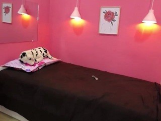 Blue-Skis Free Adult Cams, Live Sex, Free Porn Chat