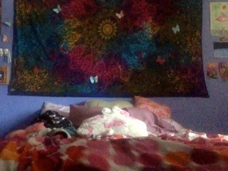 Babyworm Free Adult Cams, Live Sex, Free Porn Chat