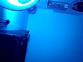 Icyfucktoy Free Adult Cams, Live Sex, Free Porn Chat