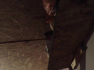 Milaydi Free Adult Cams, Live Sex, Free Porn Chat