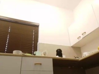 YummyMilf Free Adult Cams, Live Sex, Free Porn Chat