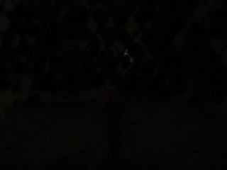 Vvalentinag Free Adult Cams, Live Sex, Free Porn Chat