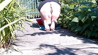 The gardener harvesting beans !