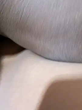 Four_stroke nude strip on cam for live sex chat