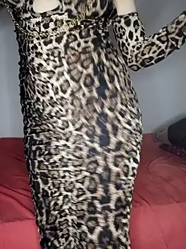 Qamarr nude strip on cam for live sex chat