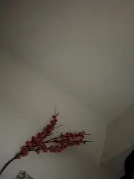 Nekorori nude strip on cam for live sex chat