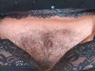 MsHairyQ Nude Sex Cams, Live Sex, Free Porn Chat